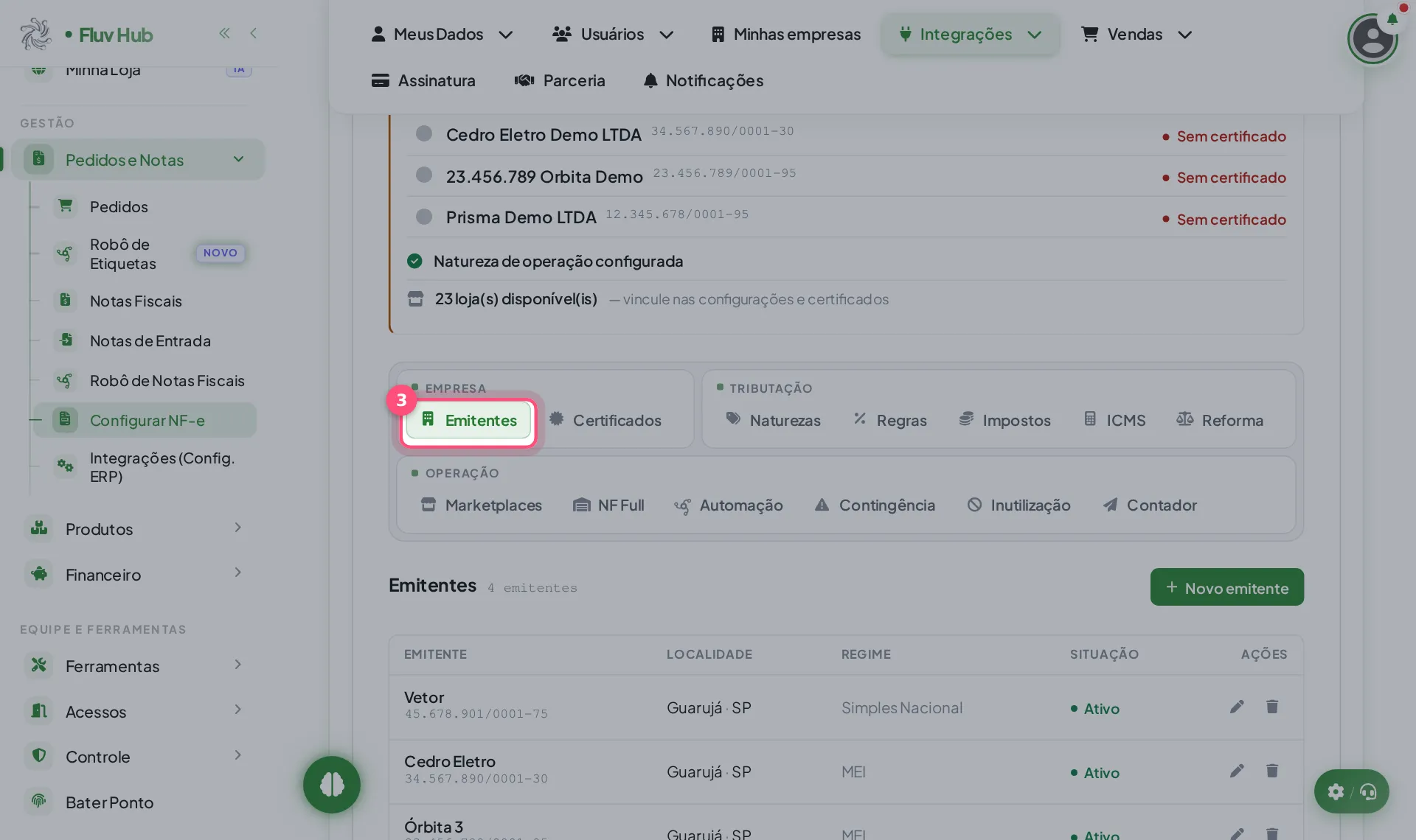 Passo 3: Confira na aba Emitentes os dados de cada empresa cadastrada